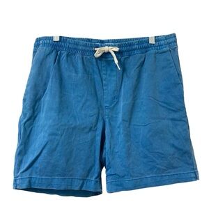 PacSun Men’s Blue Volley Shorts Casual, Every day